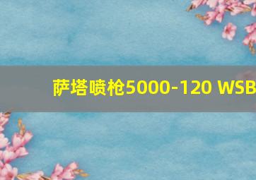 萨塔喷枪5000-120 WSB